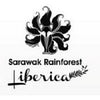 Sarawak Rainforest - (in DRIP BAG) RARE Liberica coffee beans accounts for less than 2% of commercially-produced coffee worldwide.